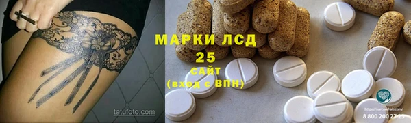 прущие грибы Алексин