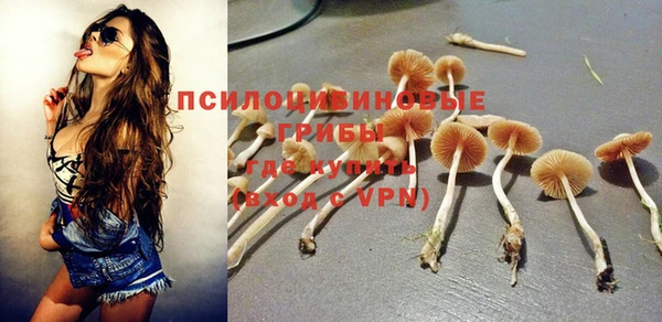 прущие грибы Алзамай