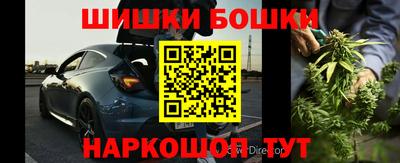 спиды Сланцы