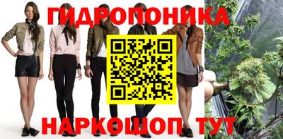 спиды Сланцы