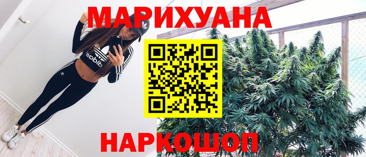 Марихуана семена Сибай